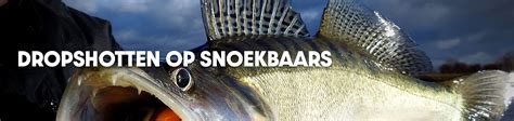 Dropshotten Op Snoekbaars Hier Lees Je Alles Wat Je Moet Weten