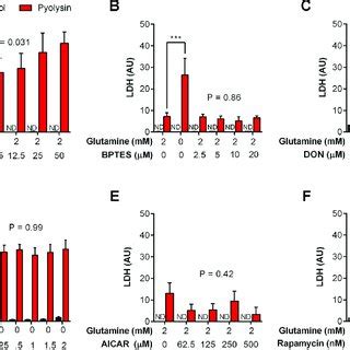 Cytolytic Activity Of Pyolysin In Stromal Cells A Primary Bovine