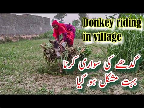 Donkey Ki Swari Krna Bahut Mushkil Ho Gia Donkey Riding Youtube