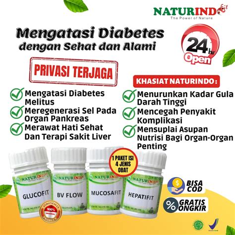 Jual Obat Herbal Diabetes Gula Darah Tinggi Obat Diabetes Basah Kering