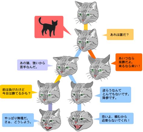 猫の気持ち｜猫との日々｜