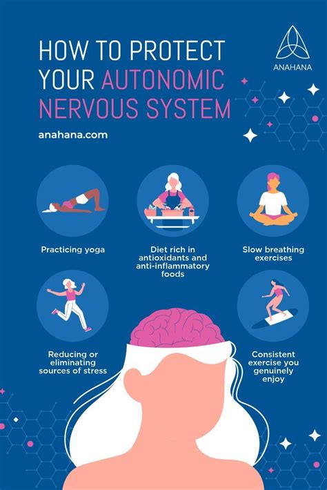 How To Protect Your Autonomic Nervous System Fresh Fitness Nutrition