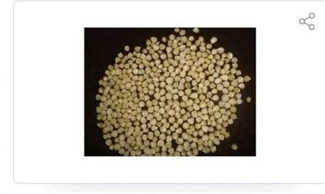 white maize   price  sirohi agriculture