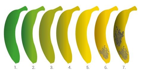 D T Zegt De Kleur Van Een Banaan Over De Gezondheidsvoordelen Libelle