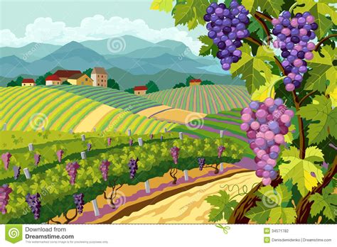 Vineyard Wine Clipart Clipground