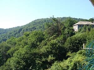 Overview of monitoring results of forests, green areas in Azerbaijan ...