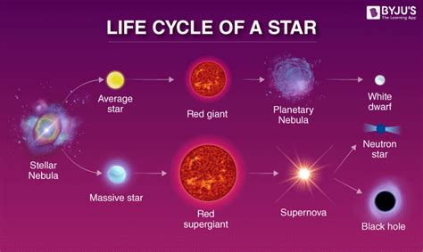 A Diagram Of A Red Dwarf Star