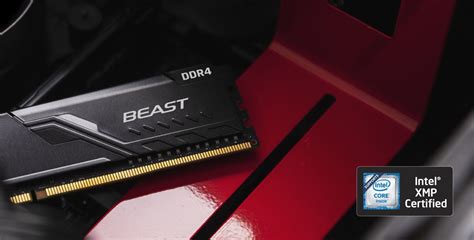 Kingston Fury Beast DDR4 Módulo 16 Gb Dimm De 288 Contactos 3600 Mhz