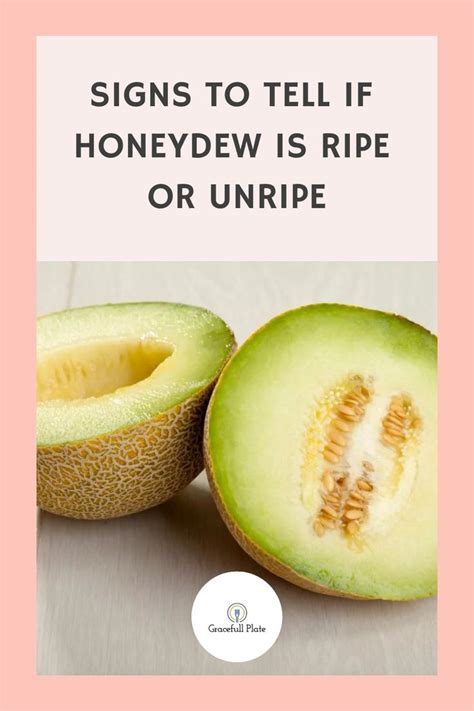 a melon with the words signs to tell if honeydew is ripe or unripe