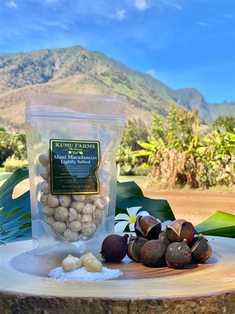 Maui Macadamia Nuts Lightly Salted Kumu Farms Maui