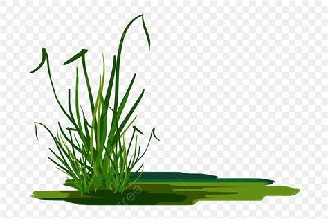 Grass Growing Clipart Png Images Growing Grass Design Illustration Spring Grass Spring