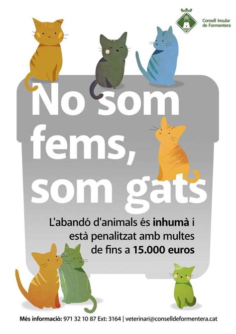 Vuelve La Campaña ‘no Somos Basura Somos Gatos Para Concienciar