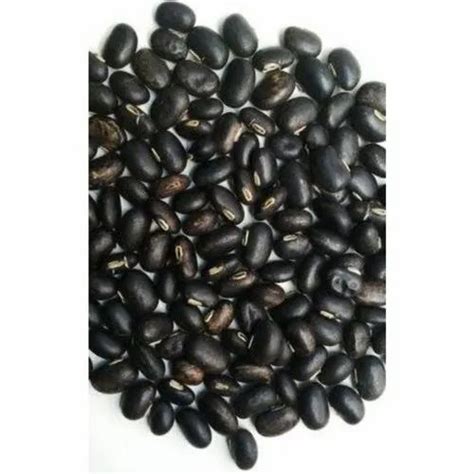 Black Mucuna Seeds Packaging Size 25kg 50 Kg Packaging Type Bag At