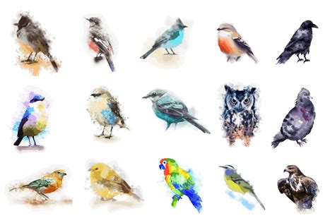 Watercolor Bird Clip Art Graphic by CLIPPFLIPP · Creative Fabrica