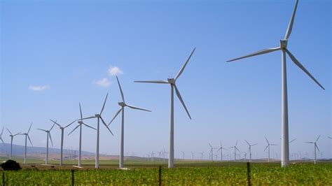 UPV Study Revolutionizes Wind Turbine Design – Eurasia Review