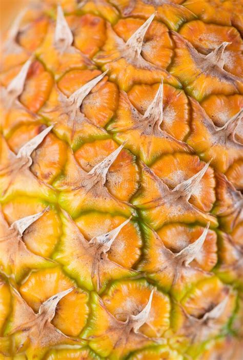 Ripe Whole Pineapple Isolated On The White Stock Image Image Of