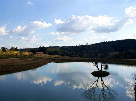 Fazenda S Tio Na Rodovia Br Universit Rio Em Sete Lagoas Por