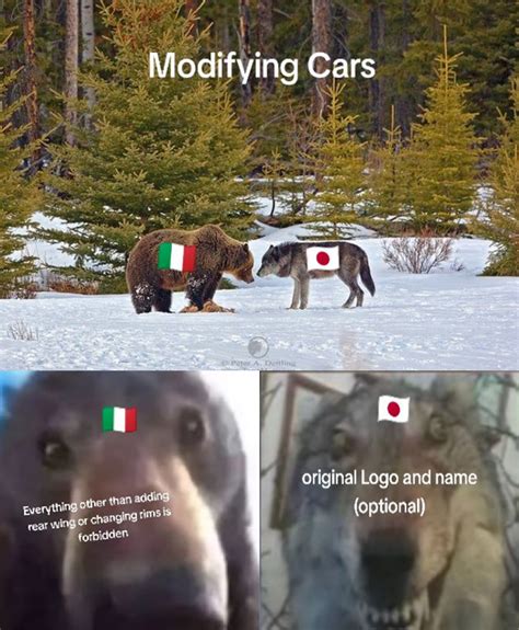 After all Italian cars>>> | Staring Bear and Wolf | Know Your Meme