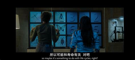 浅谈b版《密逃2》与网版《密逃2》 哔哩哔哩