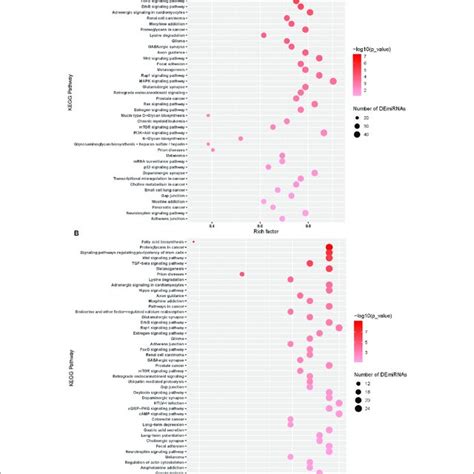 Mirna Pathway Analysis Of The Top Enriched Mirnas Predicted Gene