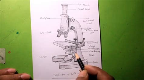 How To Draw Microscope Step By Step Easy Microscope Drawing Youtube