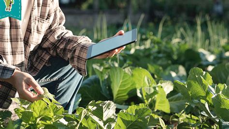 Control Natural De Plagas En Sistemas Agrícolas Orgánicos