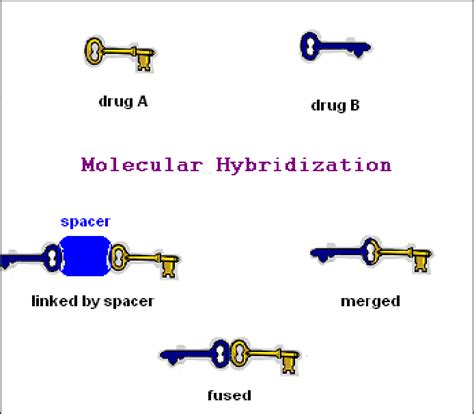 Different hybrid compounds obtained by molecular hybridization. | Download Scientific Diagram