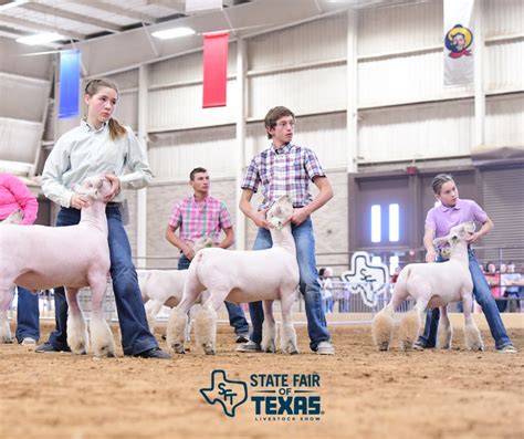 2023 State Fair of Texas | Youth Market Goat & Lamb Show | The Pulse