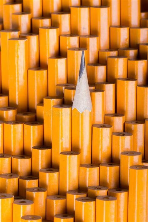 One Sharpened Pencil Among Many Blunt Stock Photo Image Of Individual