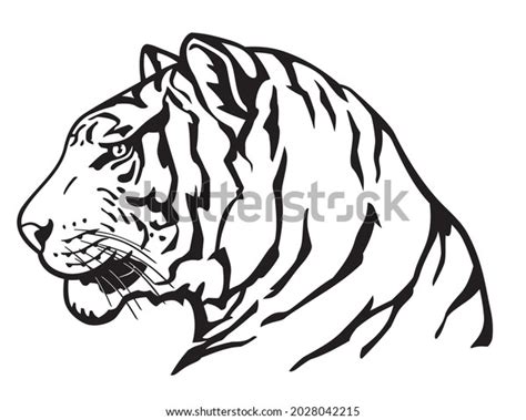 Tiger Side View Face Wild Animal Stock Vector (Royalty Free) 2028042215 ...