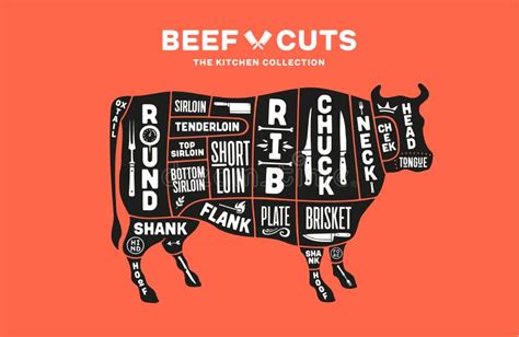 Cut Of Beef Set Poster Butcher Diagram And Scheme Lamb Vintage Typographic Hand Drawn