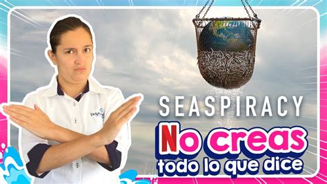 Seaspiracy El Documental Del Que Todos Hablan Es Real L Delphinus