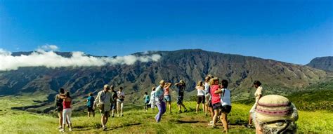 Search | Hawaii Tours and Activities