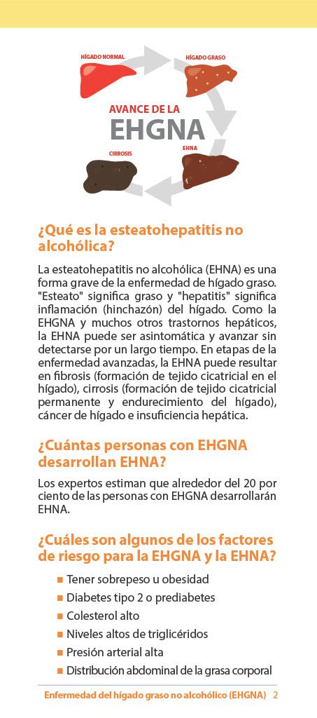 Enfermedad Del Higado Graso No Alcohólico Ehgna Y Esteatohepatitis No