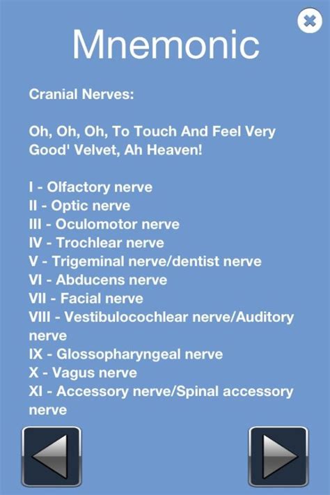 Cranial Nerves Mnemonic Cranial Nerves Mnemonic Nurse Nursing