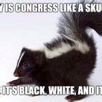 Political Skunk Meme Generator - Imgflip