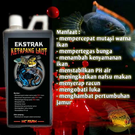 Jual Ekstrak Daun Ketapang Laut Liter Shopee Indonesia