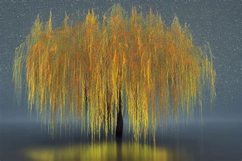 A Magical Weeping Willow Tree In A Mystical Atmosphere Stable Diffusion