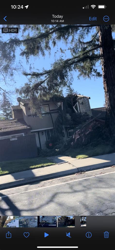 Storm Damage : r/Sacramento