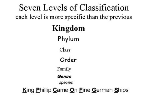 Classification Organizing Lifes Diversity Chapter Carolus Linnaeus