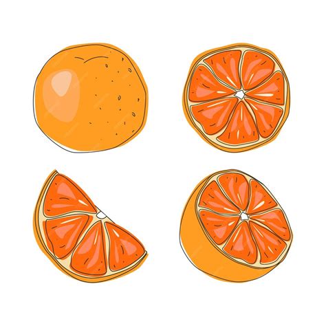 Premium Vector Set Of Fresh Whole Half Cut Slice And Leaves Orange