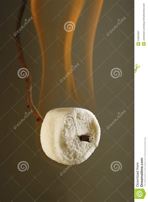 Burning Marshmallow On Stick Stock Image Image Of Heart Candy 44604097