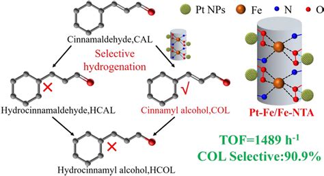 Schematic Diagram Of The Reaction Path Of Cinnamaldehyde Hydrogenation