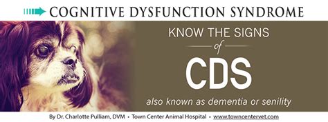 Cognitive Dysfunction Syndrome