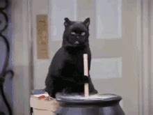 Salem Cat GIF - Salem Cat Nails - Discover & Share GIFs