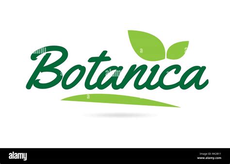 Botanica Hand Written Word Text For Typography Design In Green Color