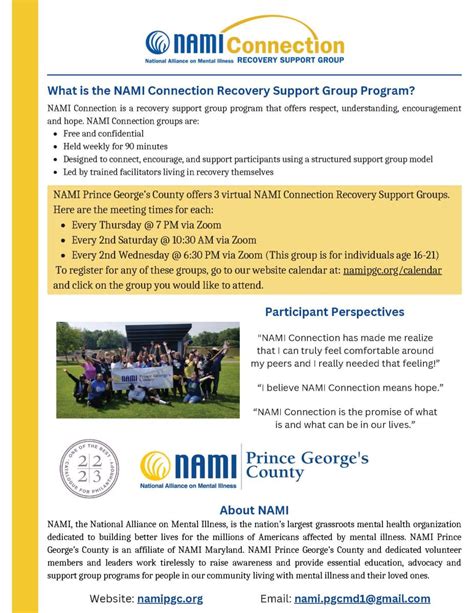 What Is The Nami Connection Recovery Support Group Program District