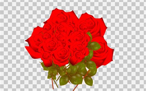 Vector Red Rose Realistic Rose Bouquet With Red Flower Illustration Idea