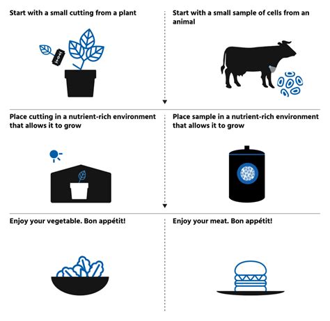 Meat cultivation: Embracing the science of nature | GFI