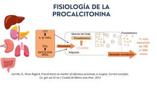 Procalcitonina Urgencias Medicas Para La Practica PPT